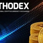 thodex-sikayet-dilekcesi